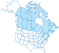 Web hosting Canada YOORshop